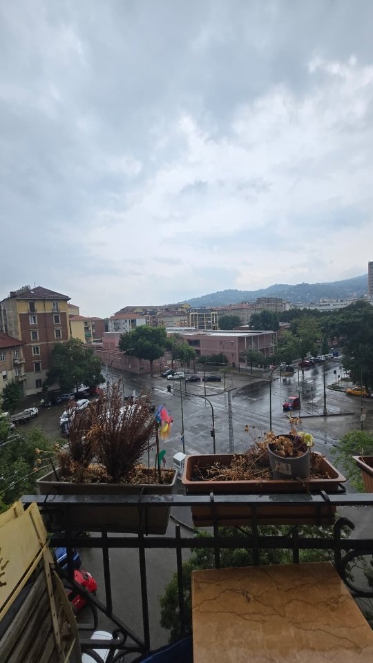 appartamento in affitto a Torino in zona Millefonti