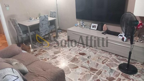 appartamento in affitto a Torino in zona Borgata Vittoria