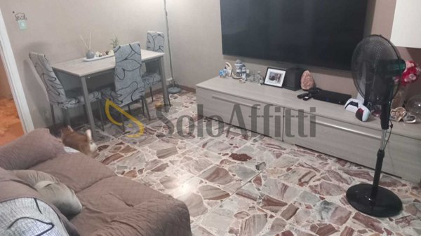 appartamento in affitto a Torino in zona Borgata Vittoria