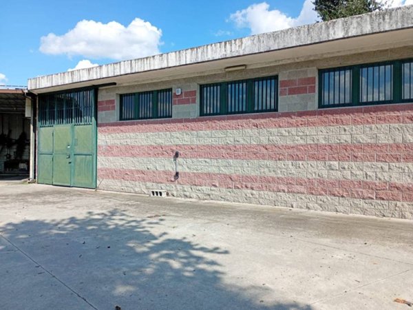 locale commerciale in affitto a Torino in zona Falchera
