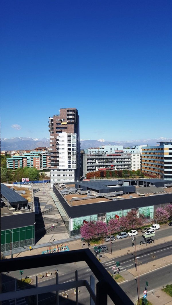 appartamento in affitto a Torino in zona Borgata Vittoria