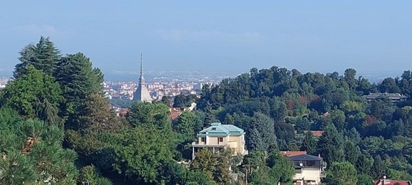 appartamento in affitto a Torino in zona Borgo Po
