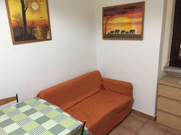 appartamento in affitto a Torino in zona Borgo San Paolo