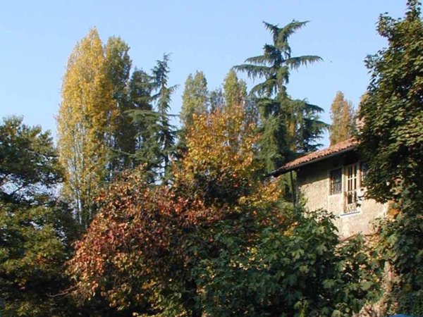 appartamento in affitto a Torino in zona Superga