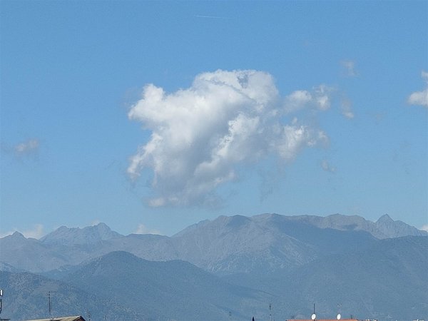 appartamento in affitto a Torino in zona Pozzo Strada