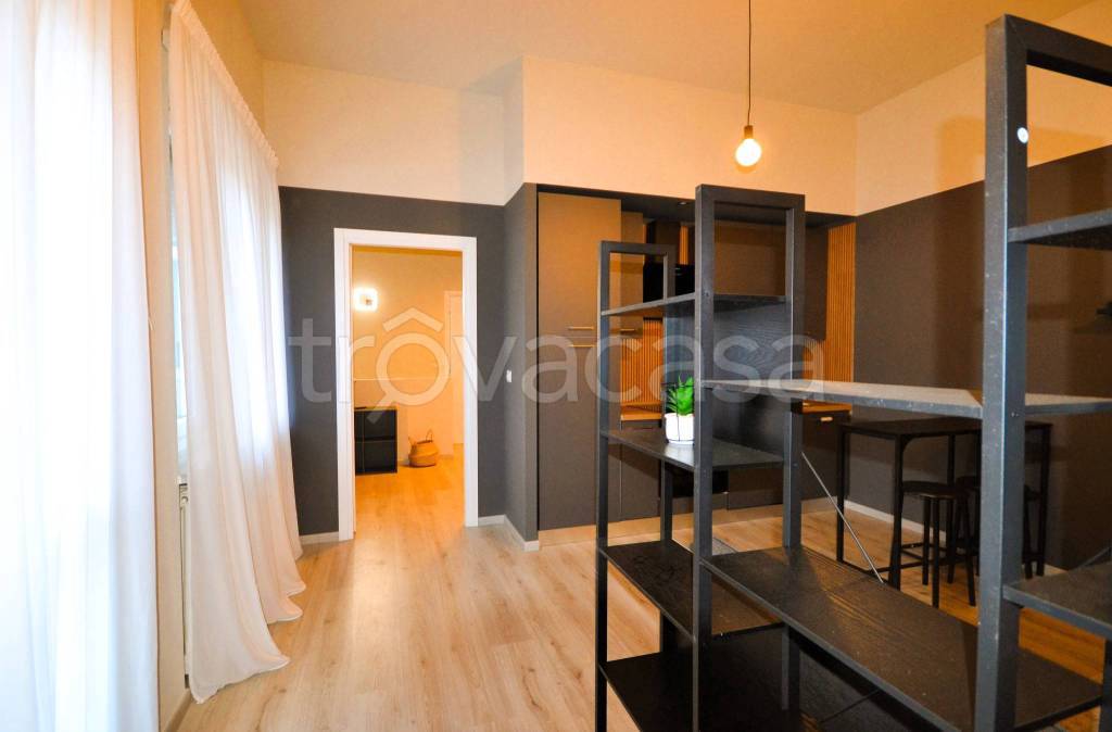 appartamento in affitto a Torino in zona Borgo San Paolo
