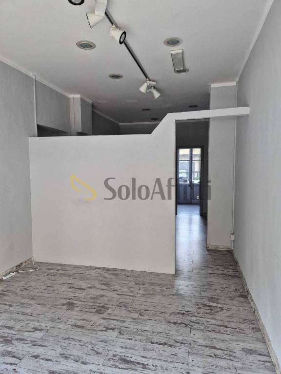 appartamento in affitto a Torino in zona San Donato