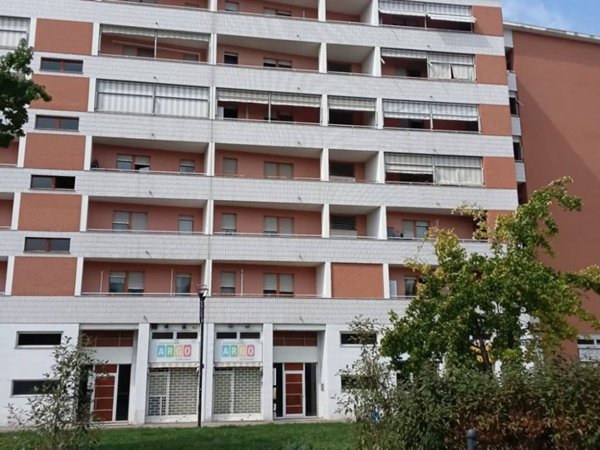 appartamento in affitto a Torino in zona Borgo San Paolo
