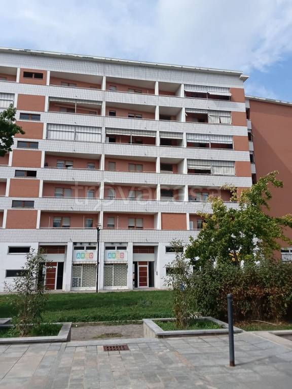 appartamento in affitto a Torino in zona Borgo San Paolo