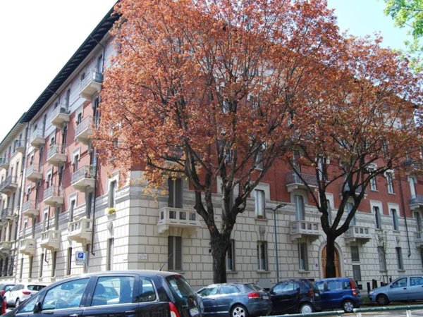 appartamento in affitto a Torino in zona Crocetta