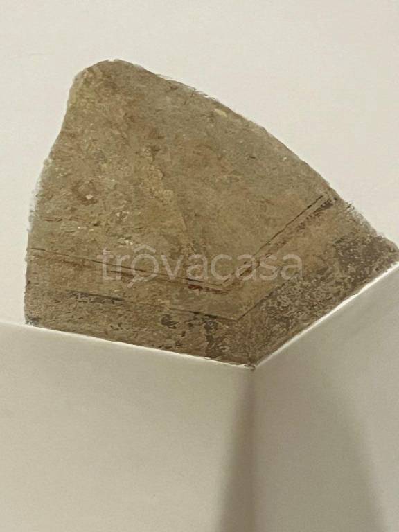 appartamento in affitto a Torino in zona San Salvario