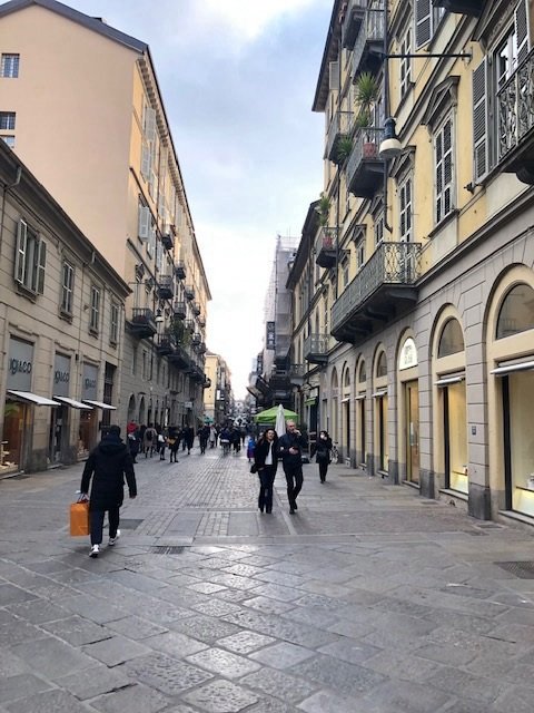 appartamento in affitto a Torino in zona Crocetta