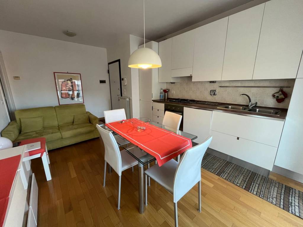 appartamento in affitto a Torino in zona Borgo San Paolo