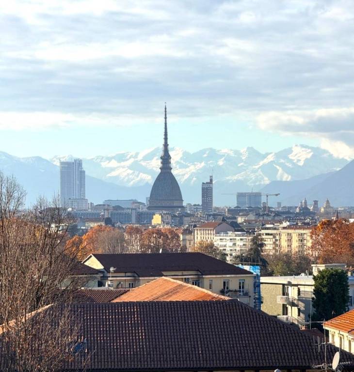 appartamento in affitto a Torino in zona Gran Madre