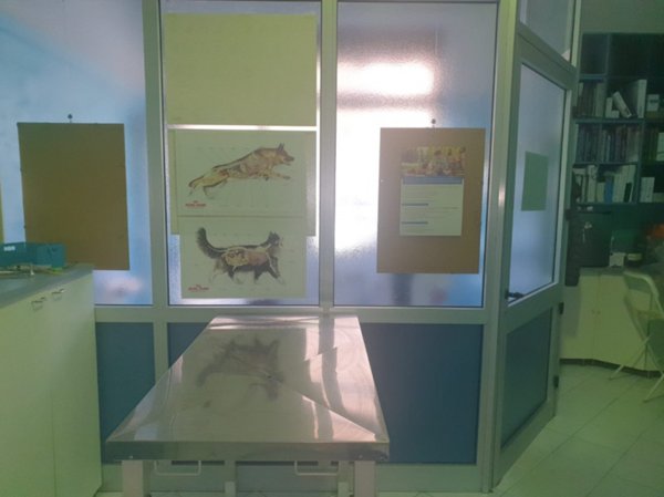 ufficio in affitto a Torino in zona Borgo San Paolo