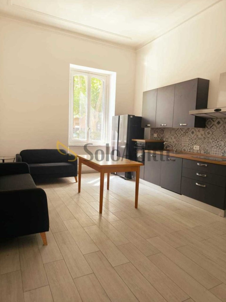 appartamento in affitto a Torino in zona Crocetta