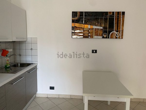 appartamento in affitto a Torino in zona Borgo San Paolo