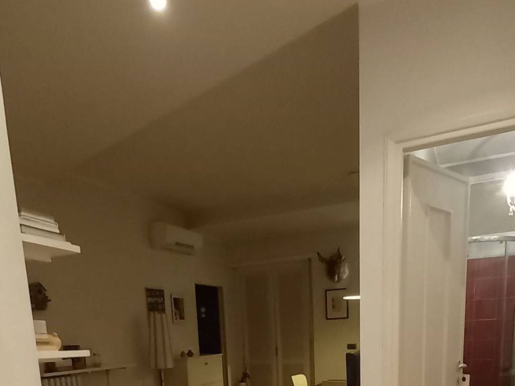 appartamento in affitto a Torino in zona Borgo San Paolo