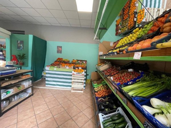 negozio in affitto a Torino in zona Parella