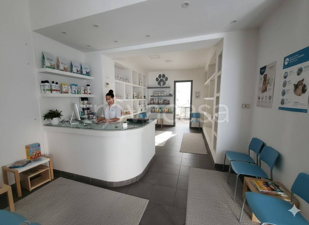 negozio in affitto a Torino in zona Borgo San Paolo