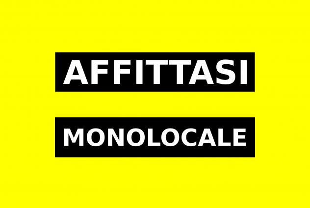 appartamento in affitto a Torino in zona Borgo San Paolo
