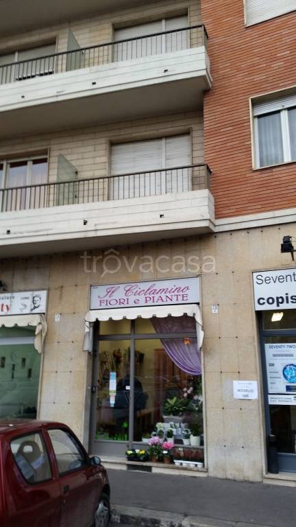 negozio in affitto a Torino in zona Aurora