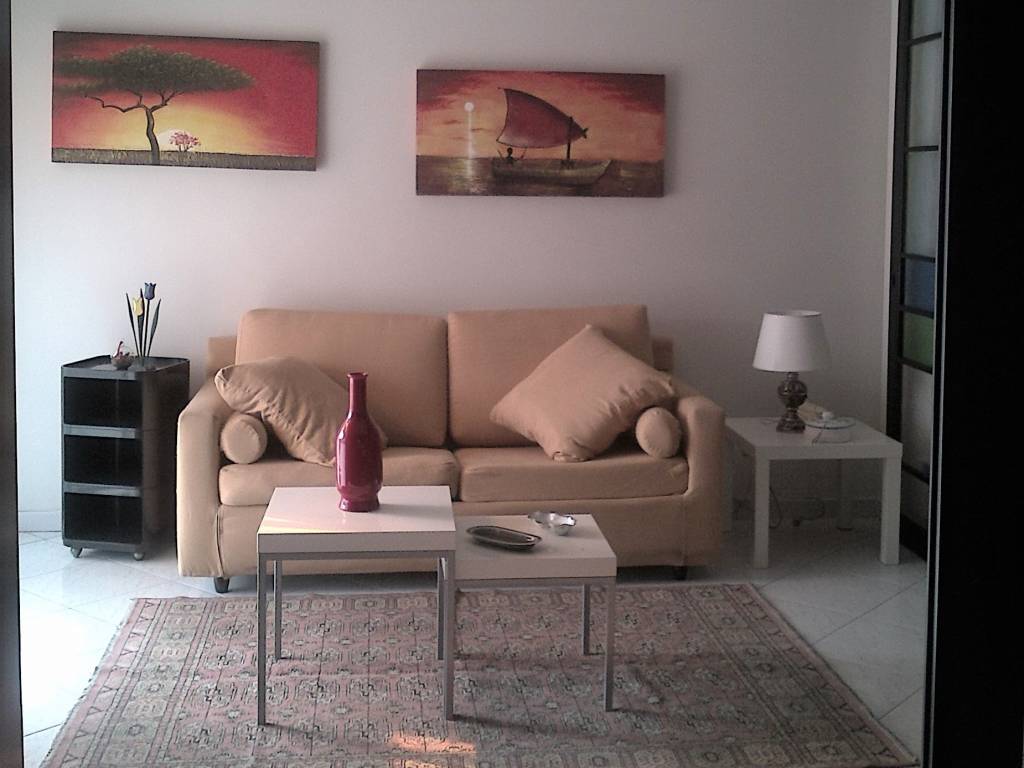 appartamento in affitto a Torino in zona San Salvario