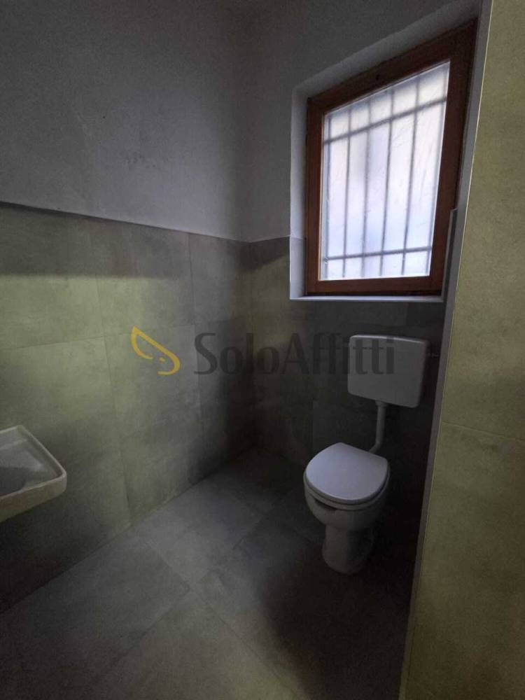 loft in affitto a Torino in zona San Donato