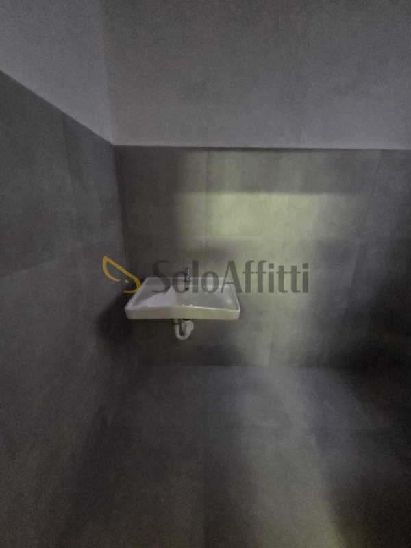 loft in affitto a Torino in zona San Donato