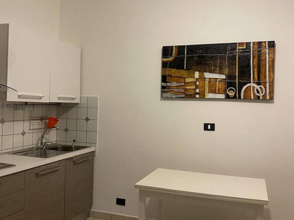 appartamento in affitto a Torino in zona Borgo San Paolo