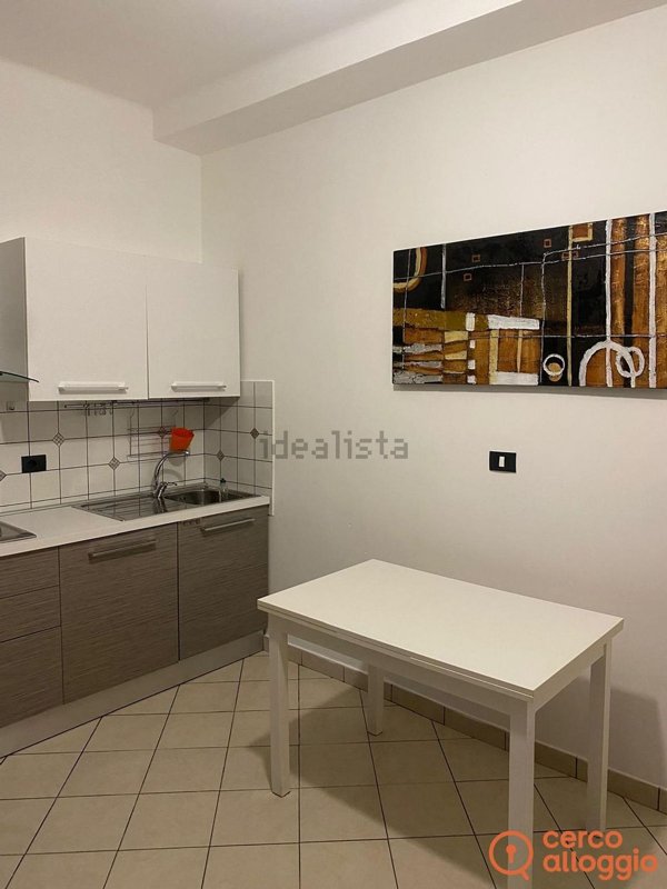 appartamento in affitto a Torino in zona Cenisia