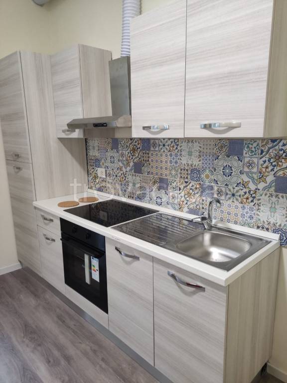 appartamento in affitto a Torino in zona Crocetta