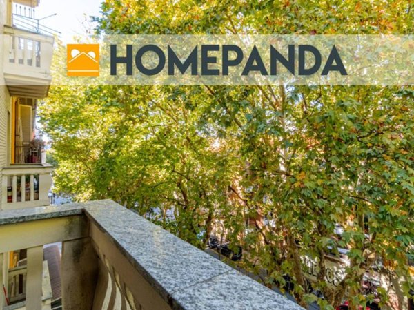 appartamento in affitto a Torino in zona Aurora