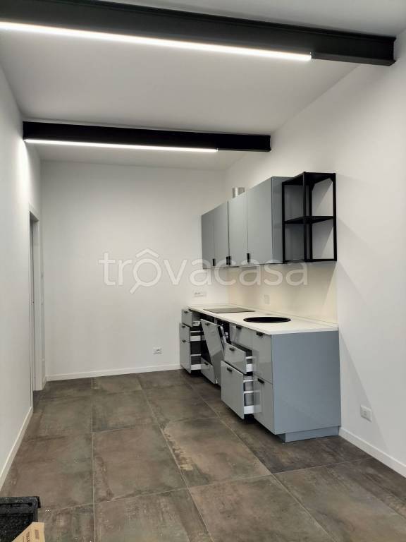 appartamento in affitto a Torino in zona Cenisia