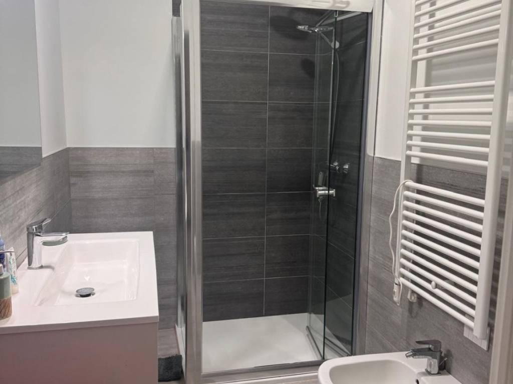 appartamento in affitto a Torino in zona Borgo San Paolo