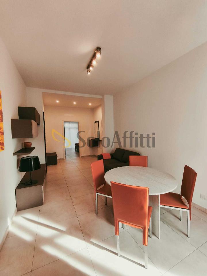 appartamento in affitto a Torino in zona Borgo San Paolo