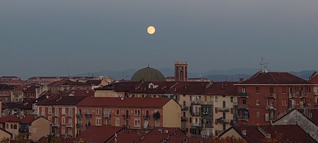 camera singola in affitto a Torino in zona Vanchiglia