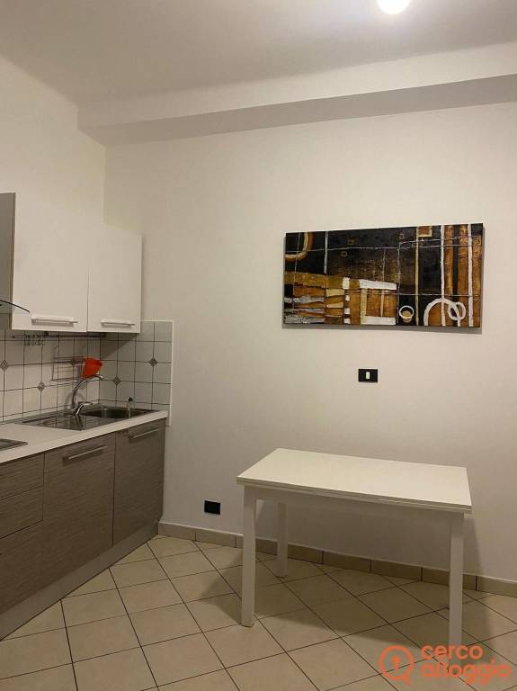 appartamento in affitto a Torino in zona Cenisia