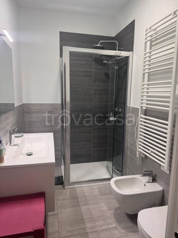 appartamento in affitto a Torino in zona Cenisia