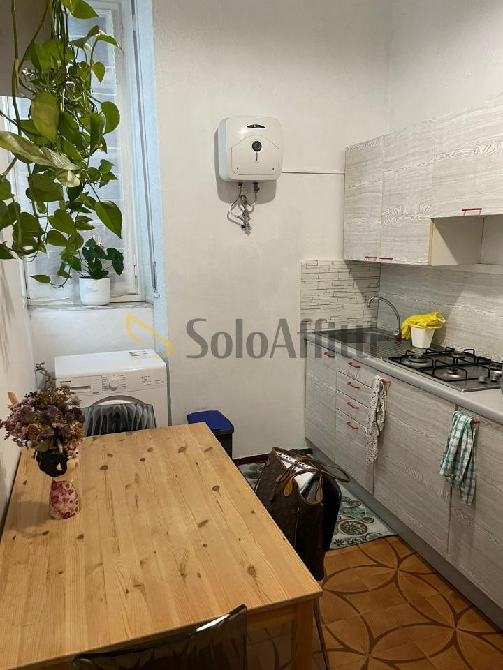 appartamento in affitto a Torino in zona San Donato