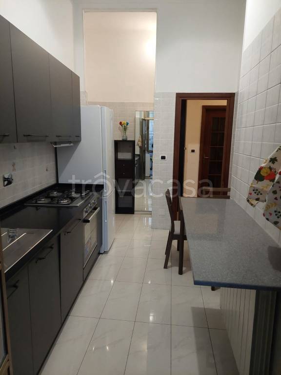 appartamento in affitto a Torino in zona Cenisia