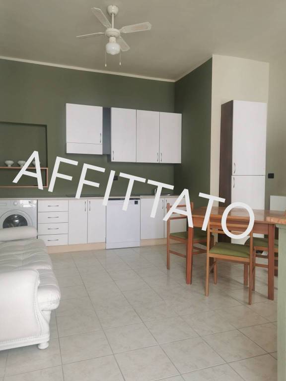 appartamento in affitto a Torino in zona Borgo San Paolo