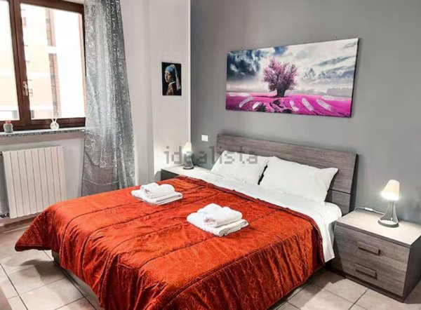 appartamento in affitto a Torino in zona Centro Storico