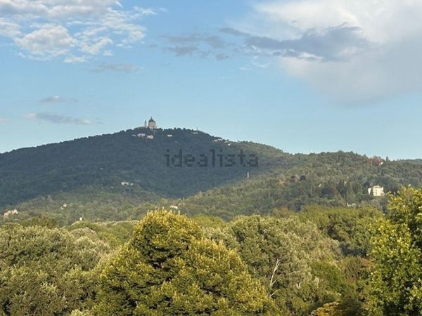 appartamento in affitto a Torino in zona Regio Parco