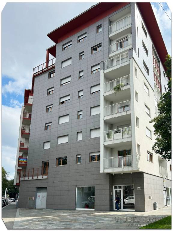 appartamento in affitto a Torino in zona Borgo San Paolo
