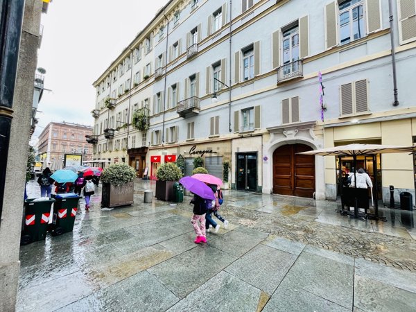 villa in affitto a Torino in zona Centro Storico