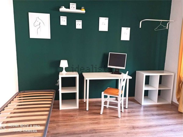 appartamento in affitto a Torino in zona Borgo San Paolo