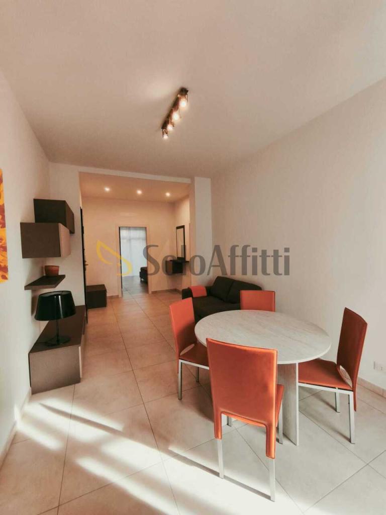 appartamento in affitto a Torino in zona Borgo San Paolo