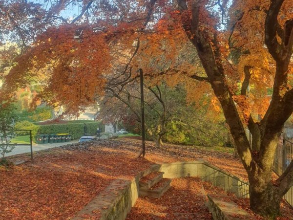 appartamento in affitto a Torino in zona Cavoretto