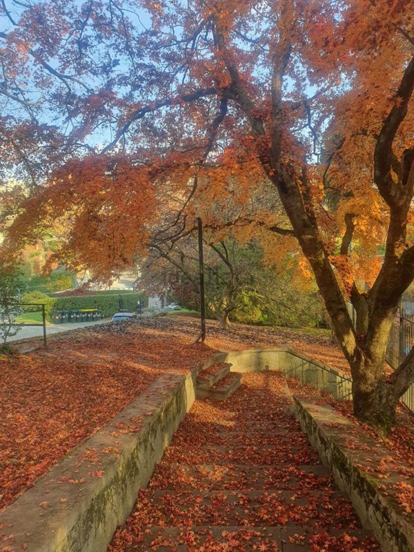 appartamento in affitto a Torino in zona Gran Madre